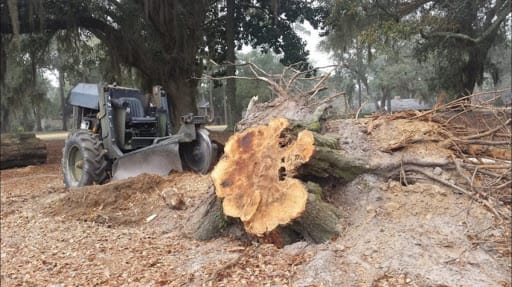 Mr. Stump | Stump Grinding & Treeservice thumbnail