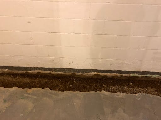 Drain Services Inc. thumbnail