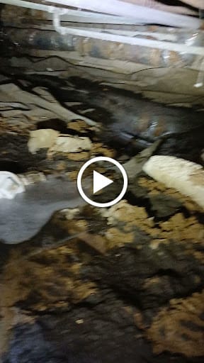 Pester Plumbing Inc thumbnail