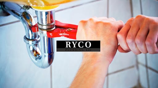 FERRIN RYCO thumbnail