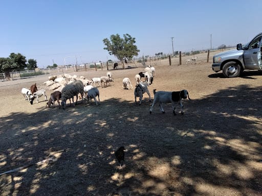 Kern County Sewer Septic Pumping & Portable Toilets thumbnail