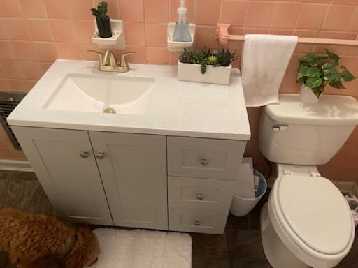 Buddy the Plumber thumbnail