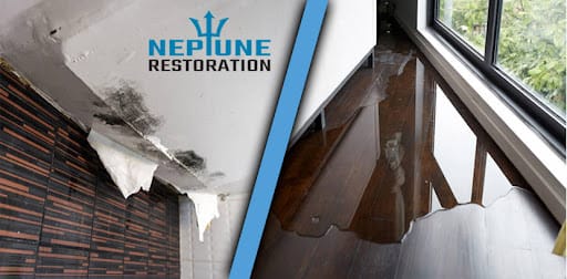 Neptune Restoration thumbnail