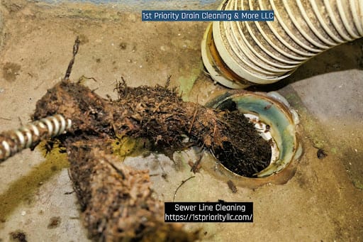 1st Priority Drain Cleaning & More LLC thumbnail